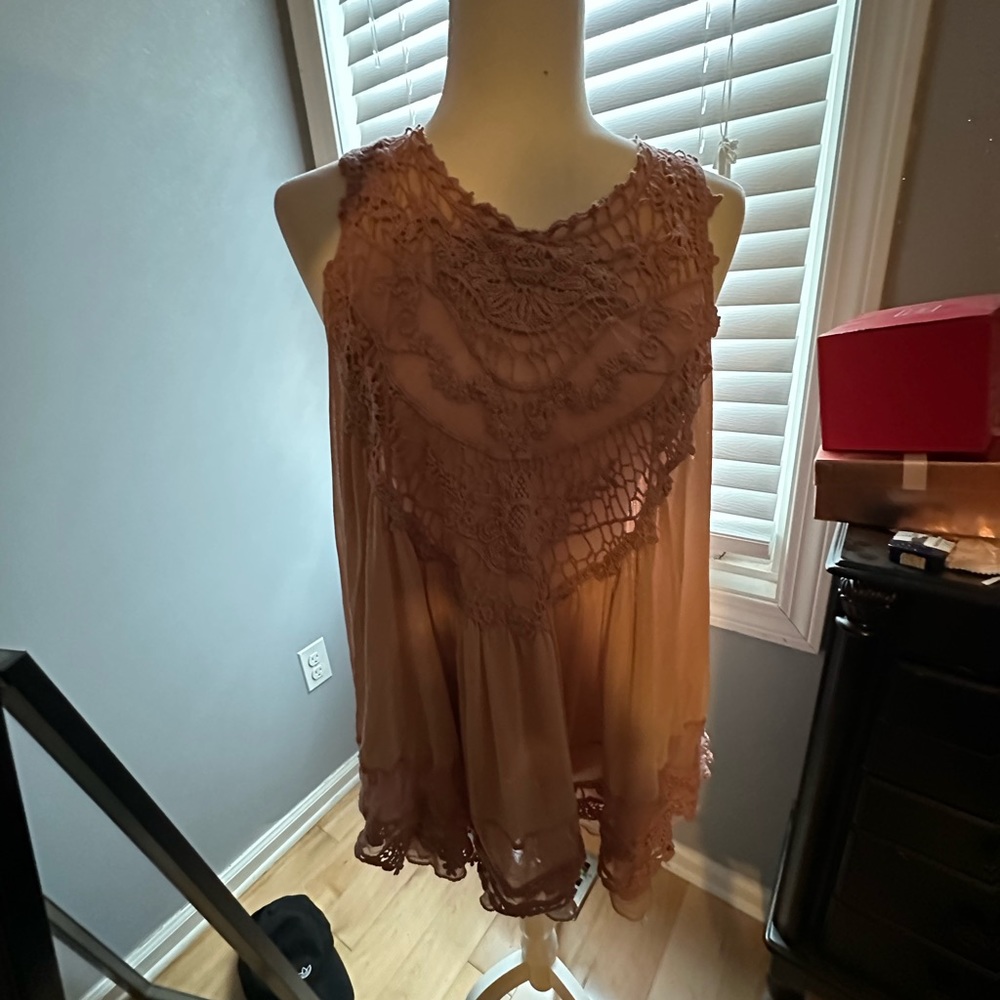 Beautiful Sheer Mauve Top